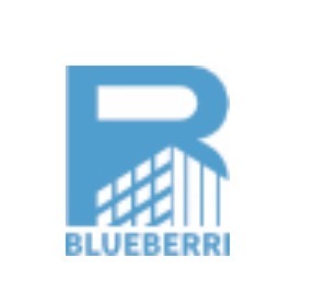Blueberri Infrastructure logo